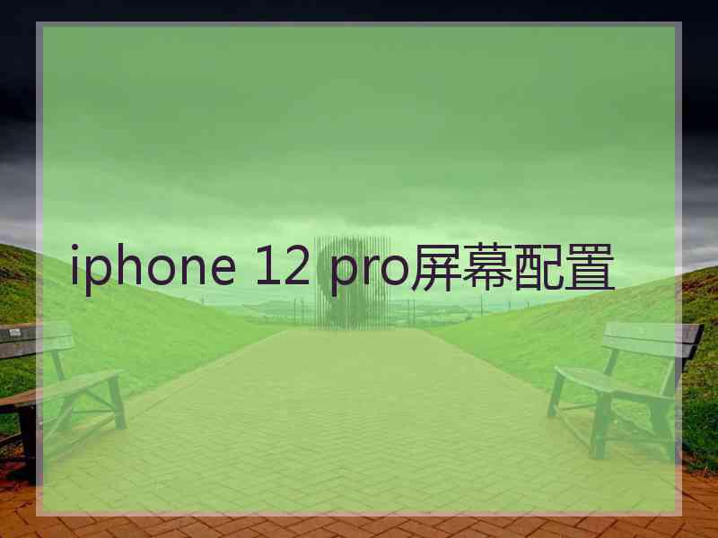 iphone 12 pro屏幕配置