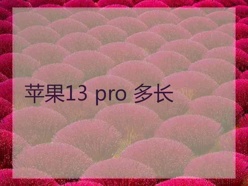 苹果13 pro 多长