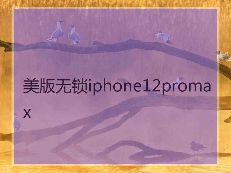 美版无锁iphone12promax