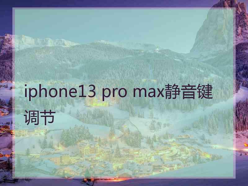 iphone13 pro max静音键调节