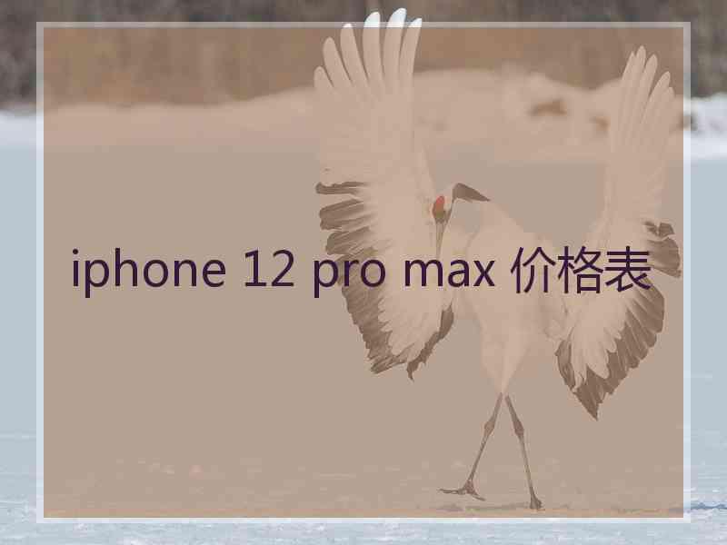 iphone 12 pro max 价格表