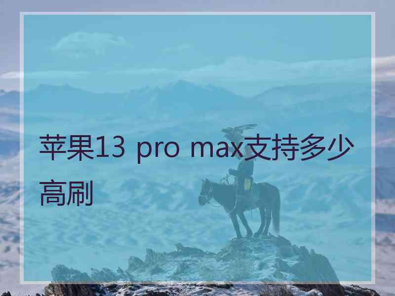 苹果13 pro max支持多少高刷