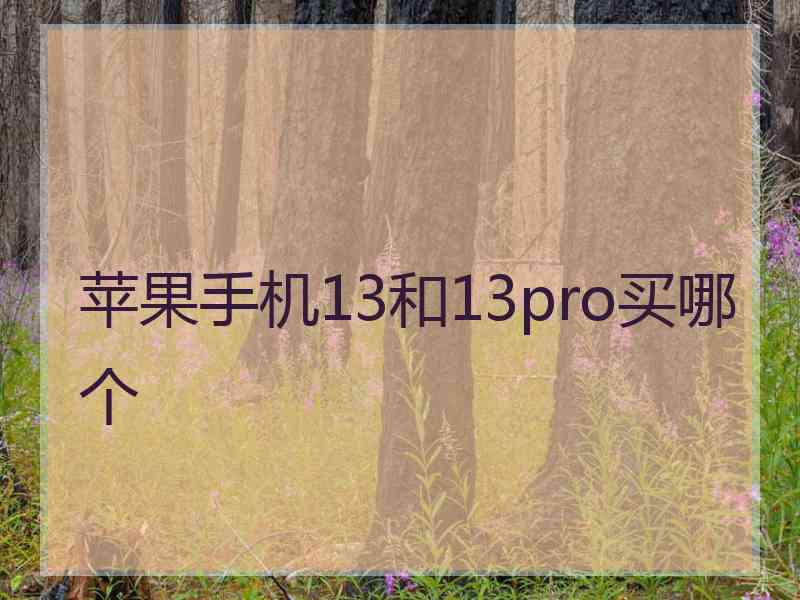 苹果手机13和13pro买哪个