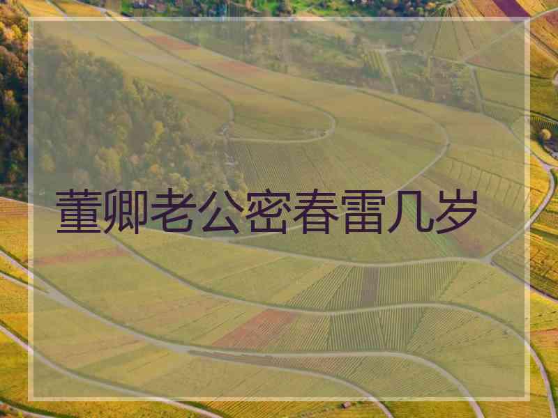 董卿老公密春雷几岁