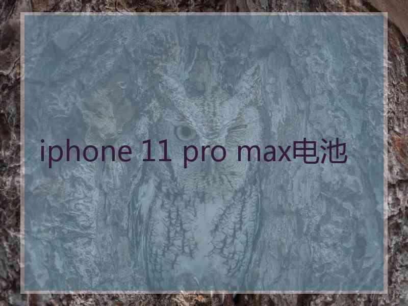 iphone 11 pro max电池