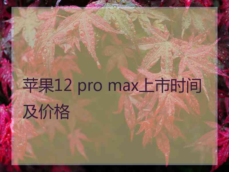 苹果12 pro max上市时间及价格