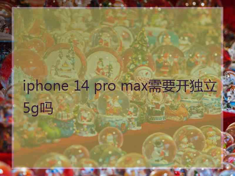 iphone 14 pro max需要开独立5g吗