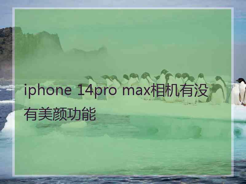 iphone 14pro max相机有没有美颜功能