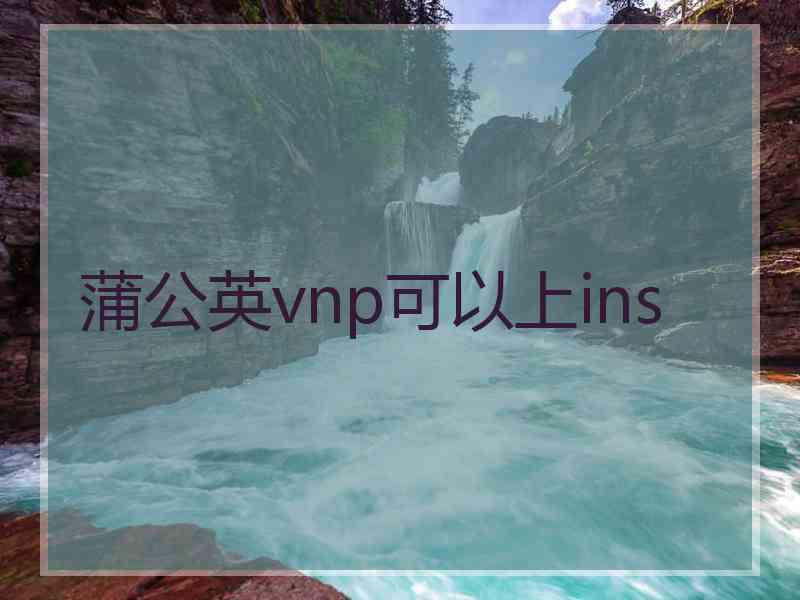 蒲公英vnp可以上ins