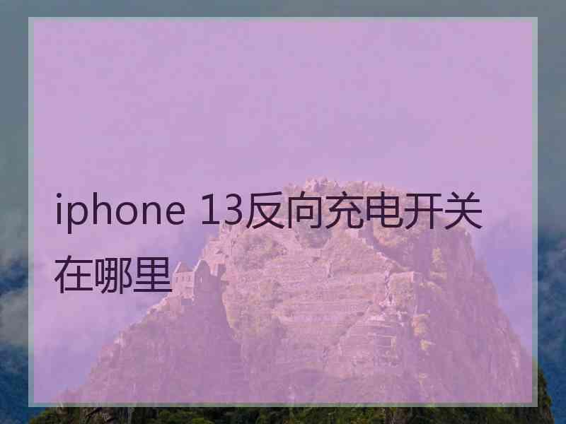 iphone 13反向充电开关在哪里