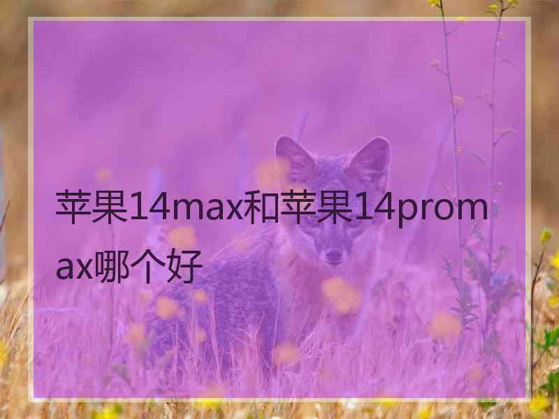 苹果14max和苹果14promax哪个好