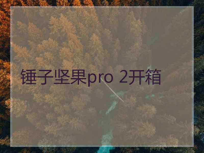 锤子坚果pro 2开箱