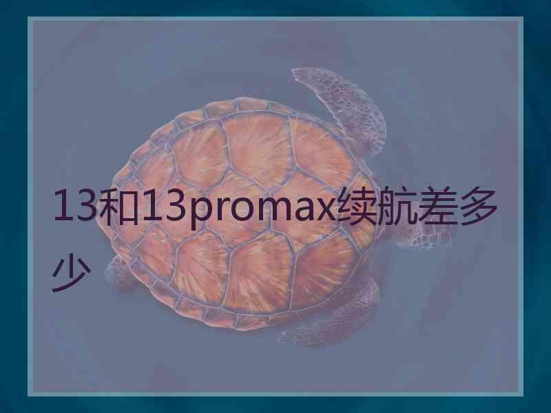 13和13promax续航差多少