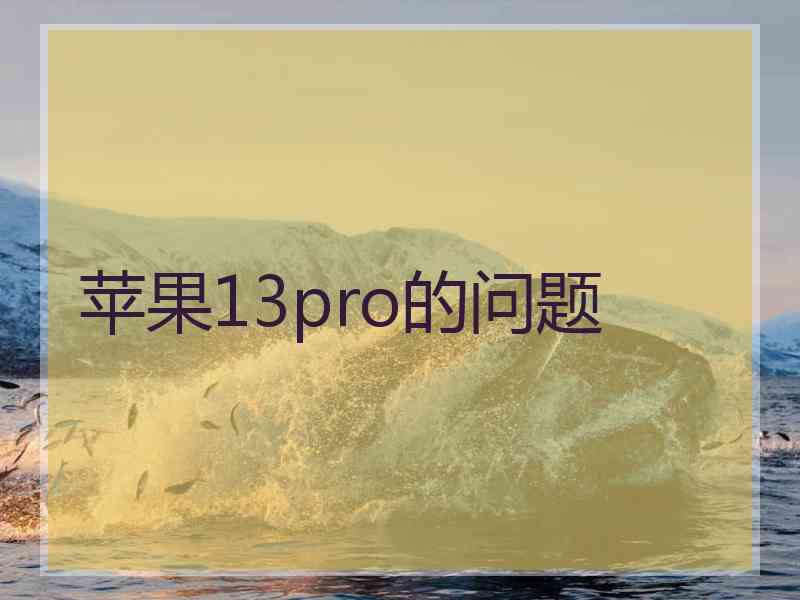 苹果13pro的问题