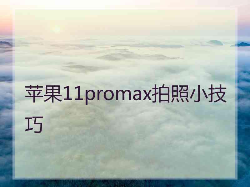 苹果11promax拍照小技巧