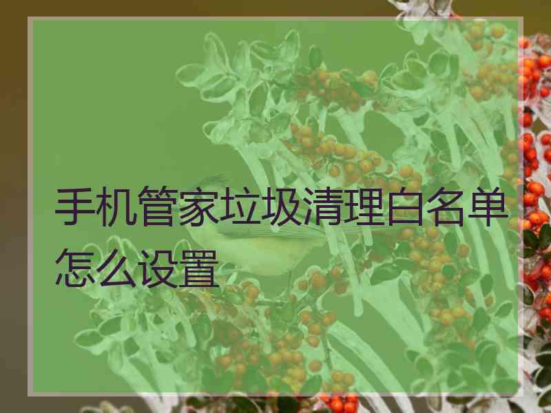 手机管家垃圾清理白名单怎么设置