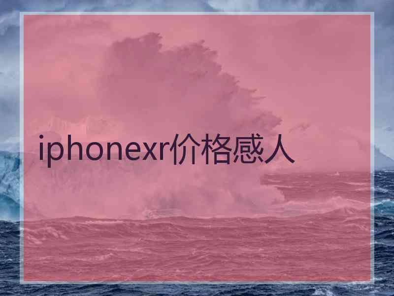 iphonexr价格感人