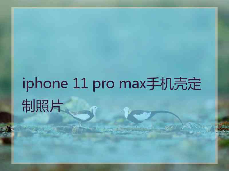 iphone 11 pro max手机壳定制照片