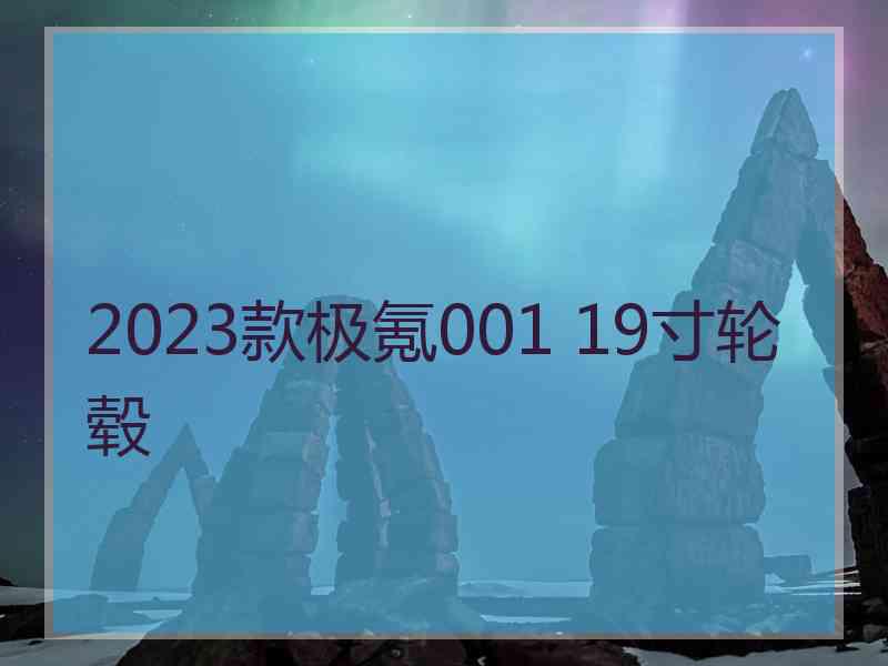 2023款极氪001 19寸轮毂