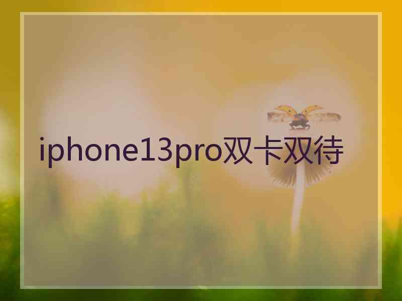 iphone13pro双卡双待