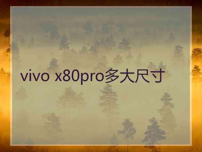 vivo x80pro多大尺寸