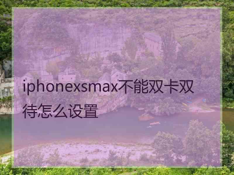 iphonexsmax不能双卡双待怎么设置