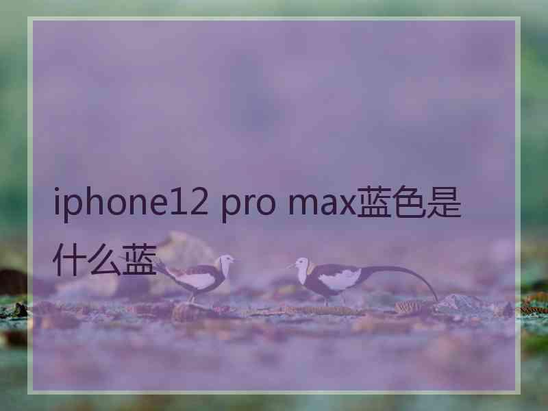 iphone12 pro max蓝色是什么蓝