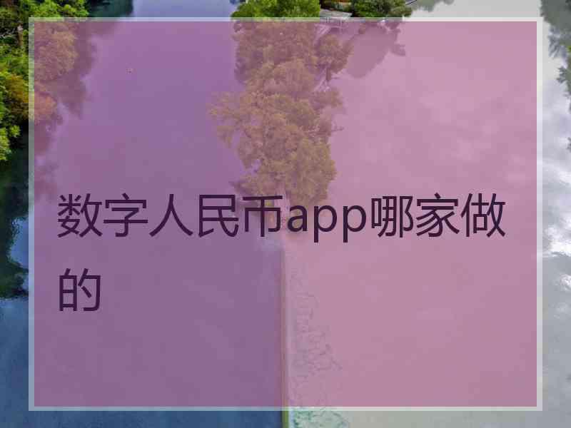 数字人民币app哪家做的