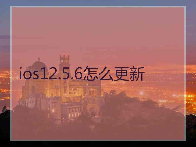 ios12.5.6怎么更新