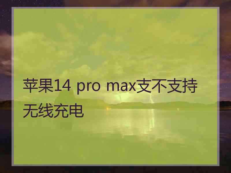 苹果14 pro max支不支持无线充电