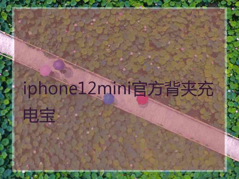 iphone12mini官方背夹充电宝