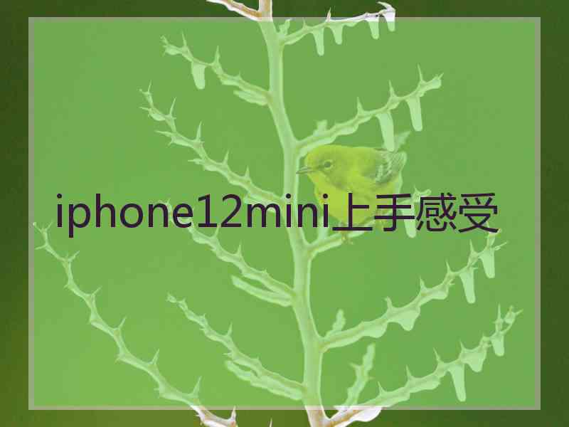 iphone12mini上手感受