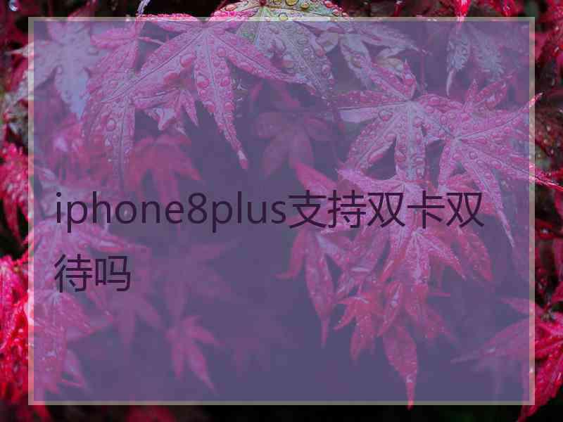 iphone8plus支持双卡双待吗