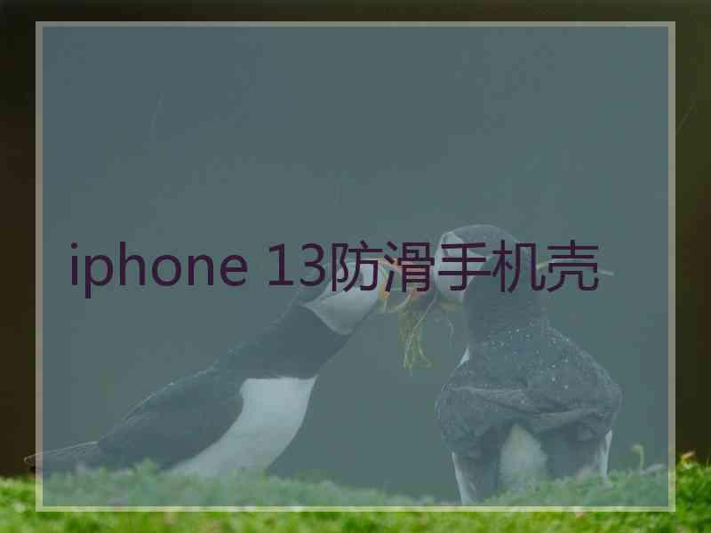 iphone 13防滑手机壳