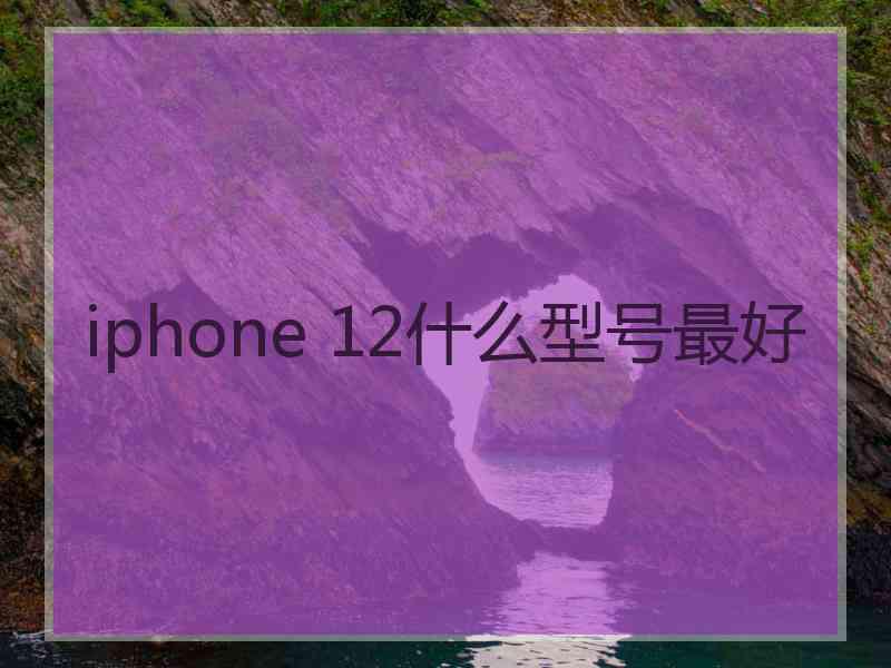 iphone 12什么型号最好