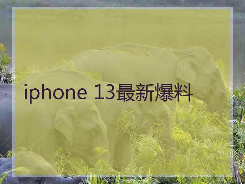 iphone 13最新爆料