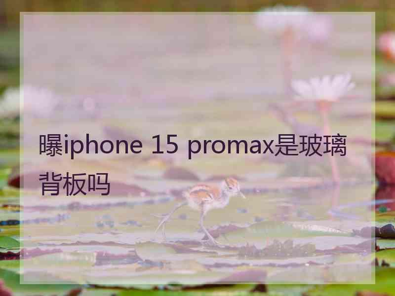 曝iphone 15 promax是玻璃背板吗