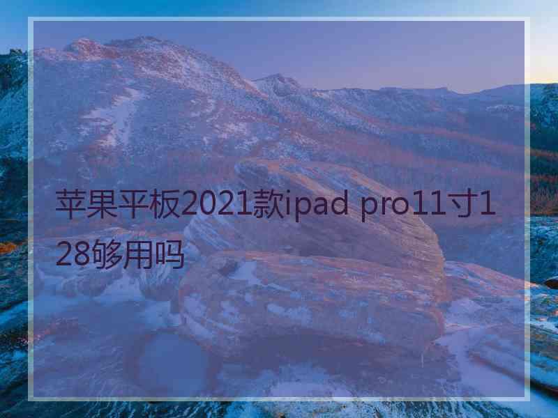 苹果平板2021款ipad pro11寸128够用吗