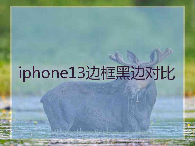 iphone13边框黑边对比