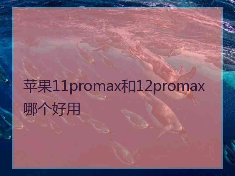 苹果11promax和12promax哪个好用