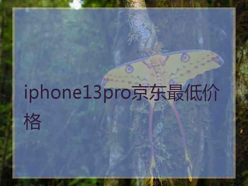 iphone13pro京东最低价格