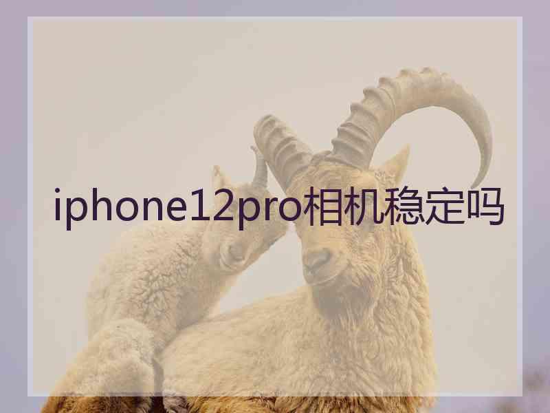 iphone12pro相机稳定吗