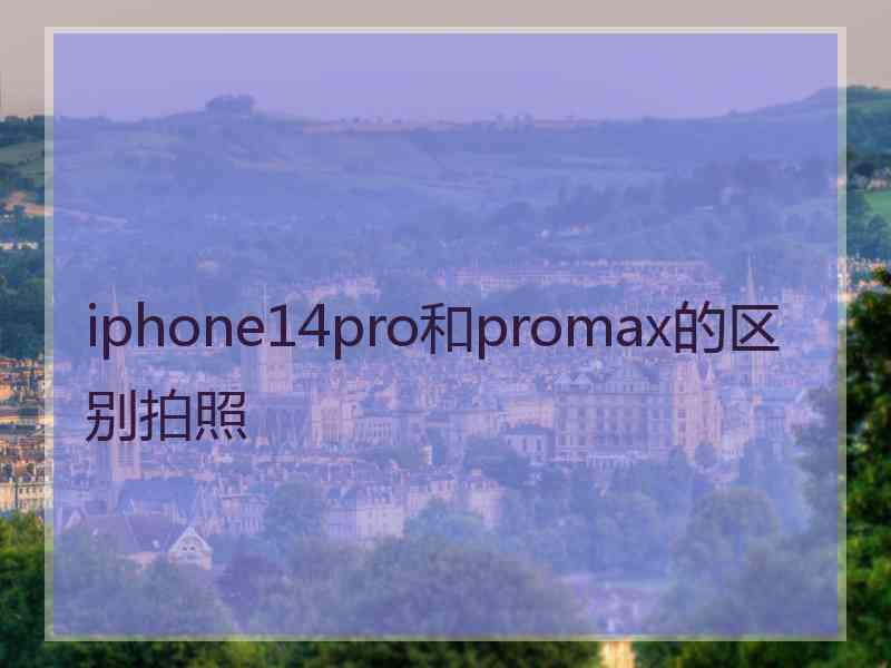 iphone14pro和promax的区别拍照