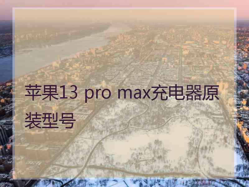 苹果13 pro max充电器原装型号