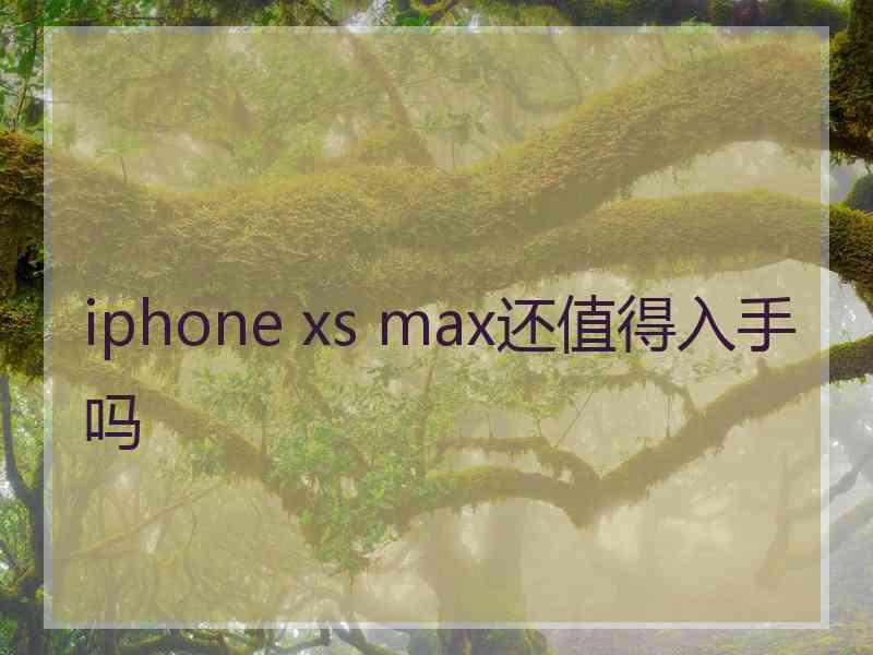 iphone xs max还值得入手吗