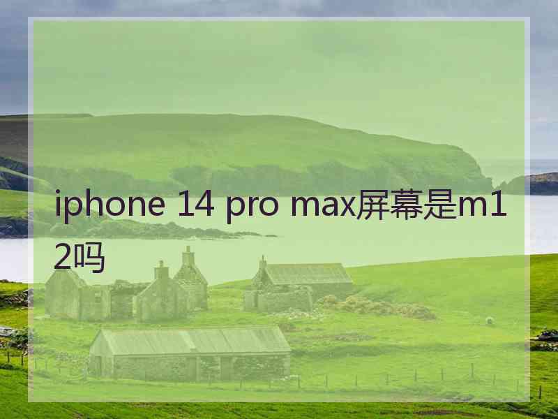 iphone 14 pro max屏幕是m12吗