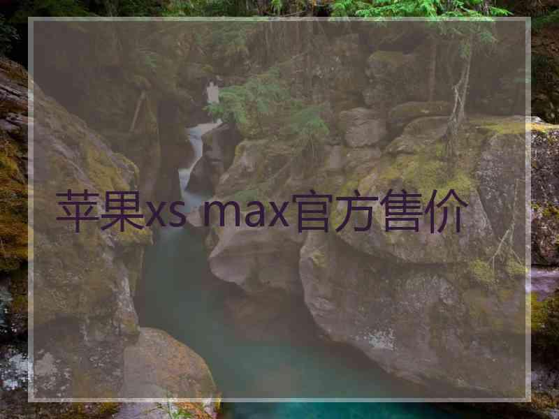 苹果xs max官方售价