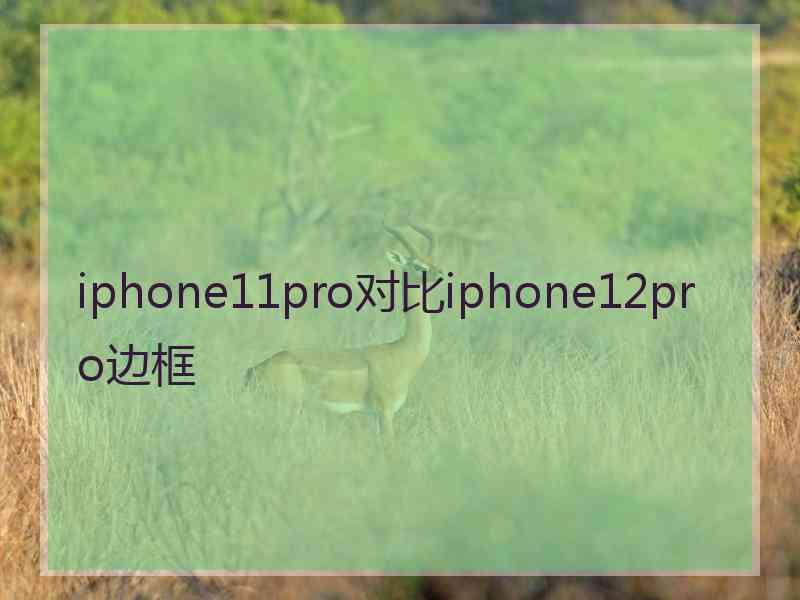 iphone11pro对比iphone12pro边框