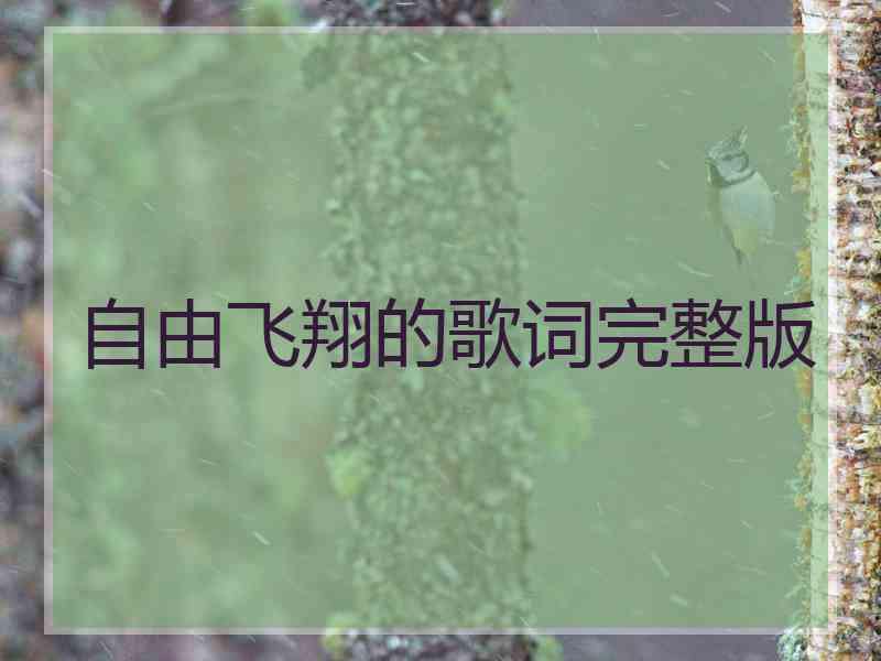 自由飞翔的歌词完整版