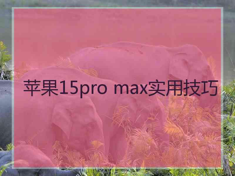 苹果15pro max实用技巧